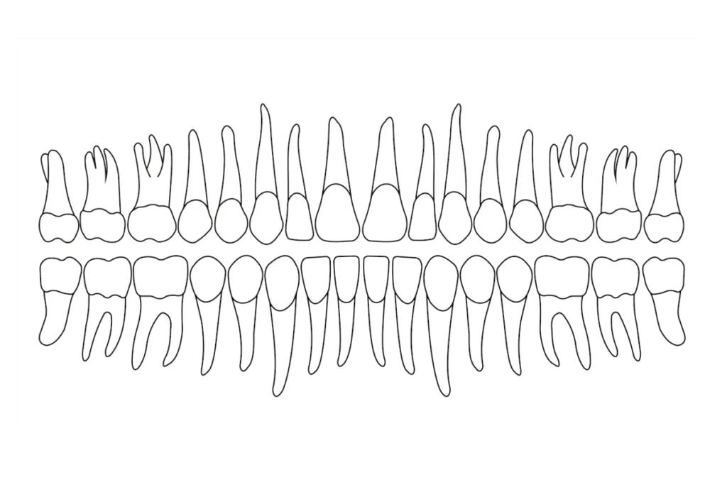 DtDental Blog Odontograma colores